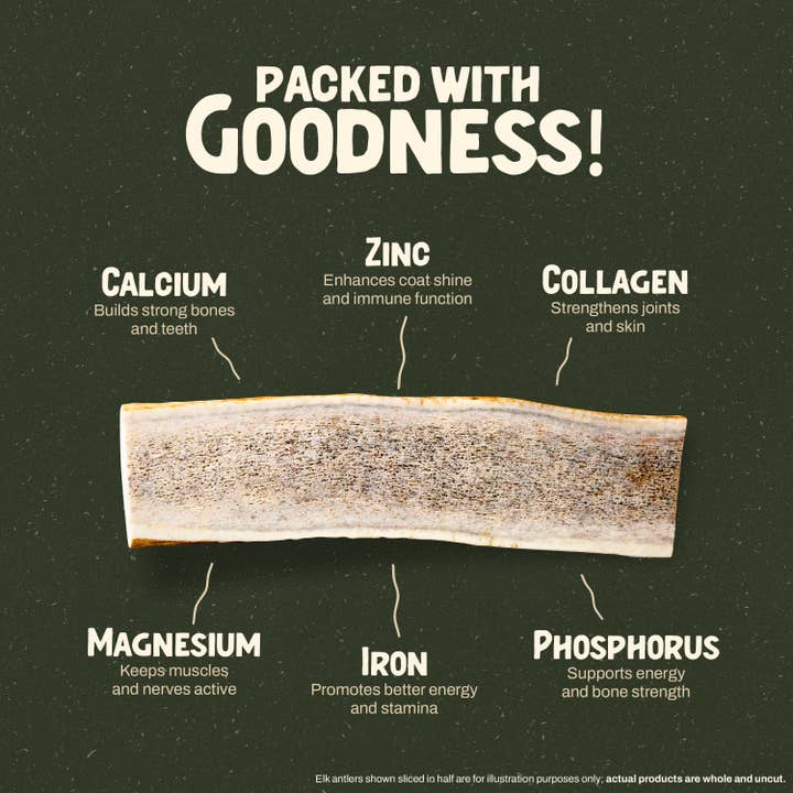 Heartland Antlers - Wholesale Pet Chew Toy - Dog - Whole Elk Antler Chew - Giant (85+ lbs)4