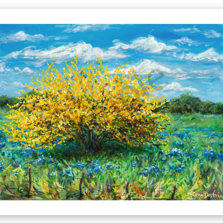 Texas Huisache en papier Bluebonnets pour la vente par Gena Destri