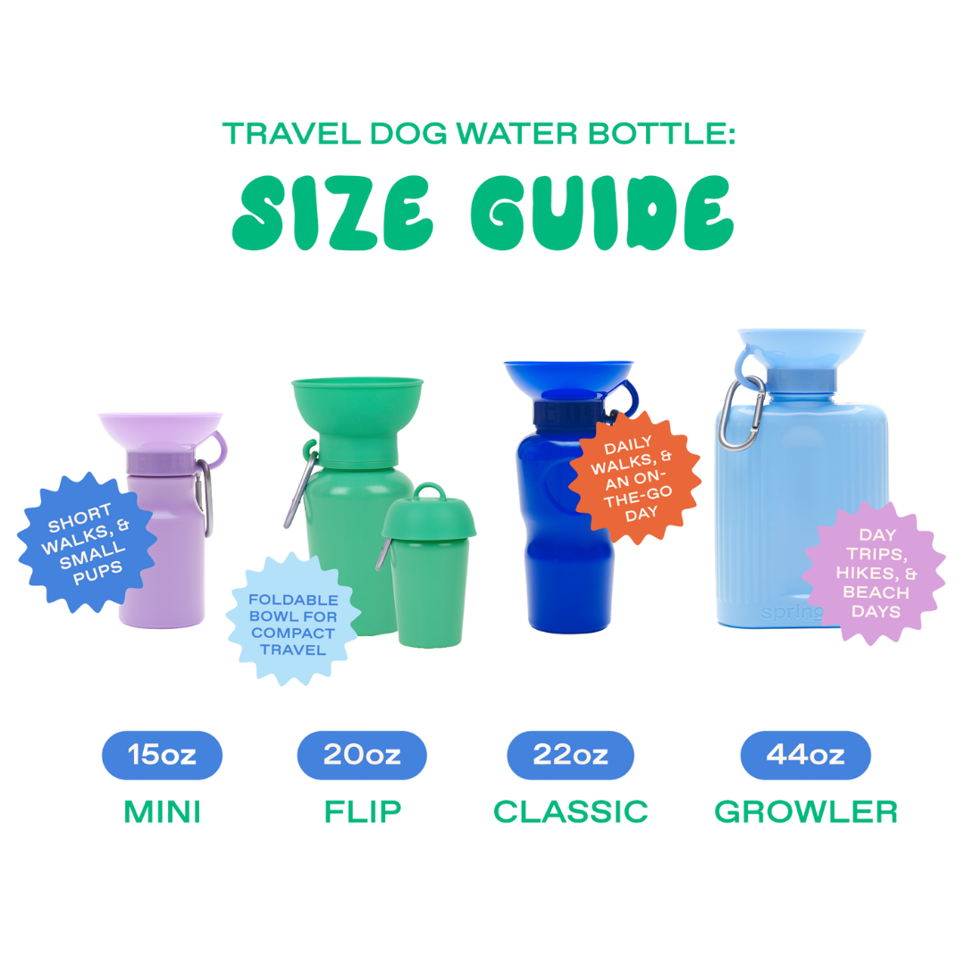 Springland Pets – wholesale Pet water bottle – Dog – Dog Travel Water Bottle - 20oz Flip (12 Pack)8