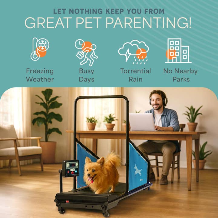 LifePro - Wholesale Fitness Equipment - Lifepro PawRunner Dog Treadmill for Small & Medium Dogs1