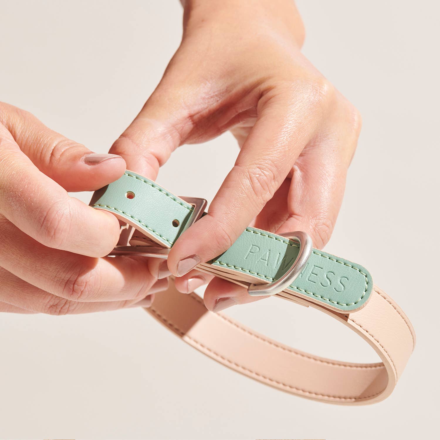 Dog Collar Bo - Emerald  for wholesale on Faire1