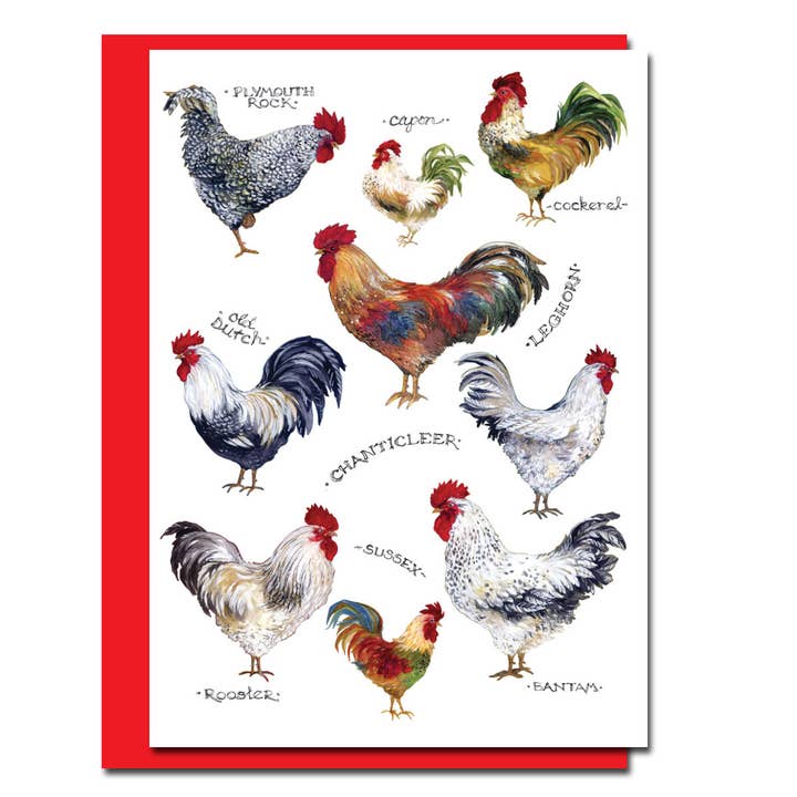 Roosters Blank Card for wholesale by Allport Editions
