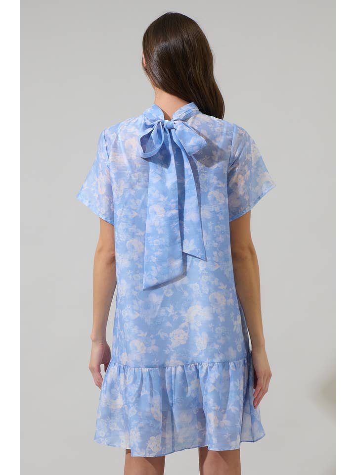 BLUE MULTI Jule Floral Berny Organza Mini Dress for wholesale on Faire1