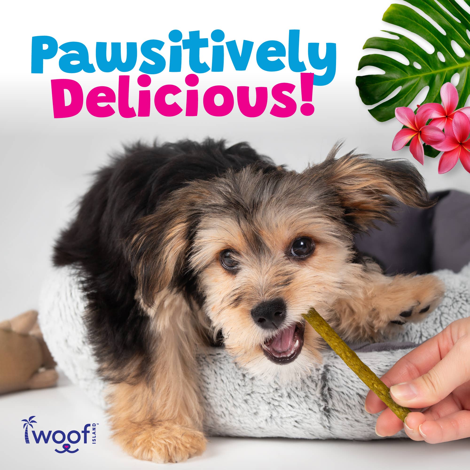 Woof Island – Engroshandel Godbid - Hund – Kalua-svinekødsstænger med naturlig ananas- og røgsmag 50 stk.5