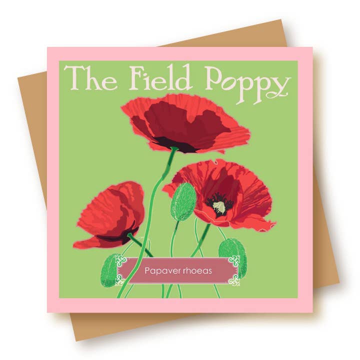 Tarjeta de Felicitación o Nota de Amapola Silvestre para venta al por mayor de Umbellifer