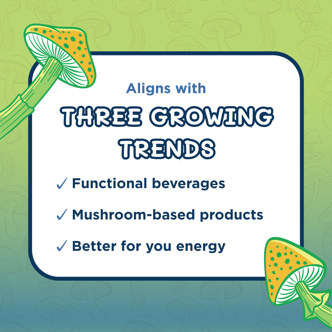 Melting Forest - Wholesale Sports/Energy Drink - Mushroom Energy Drink |  Variety Pack | Adaptogen 6