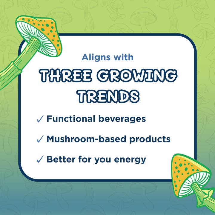 Melting Forest - Wholesale Sports/Energy Drink - Mushroom Energy Drink | Variety Pack | Adaptogen 6