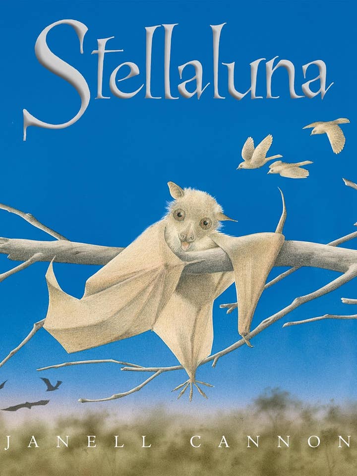 Stellaluna Board Book : Janell Cannon for wholesale by HarperCollins