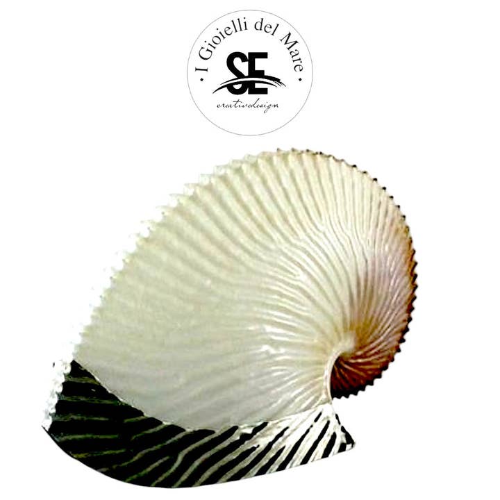 Cod.62009 Mother-of-pearl Argonaut in silver for wholesale by I Gioielli del Mare di Salvatore Esposito