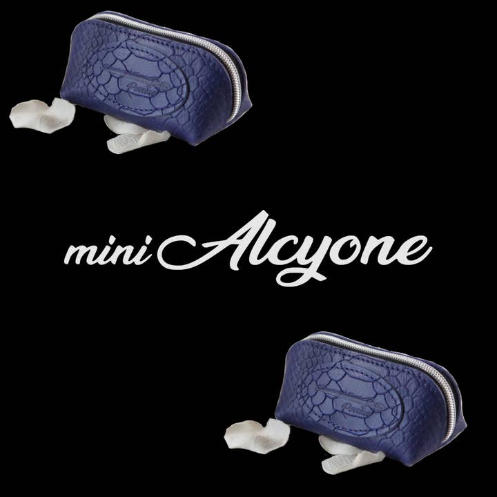 Alcyone leather mini pencil case for wholesale by maroquineriedefranceperrine