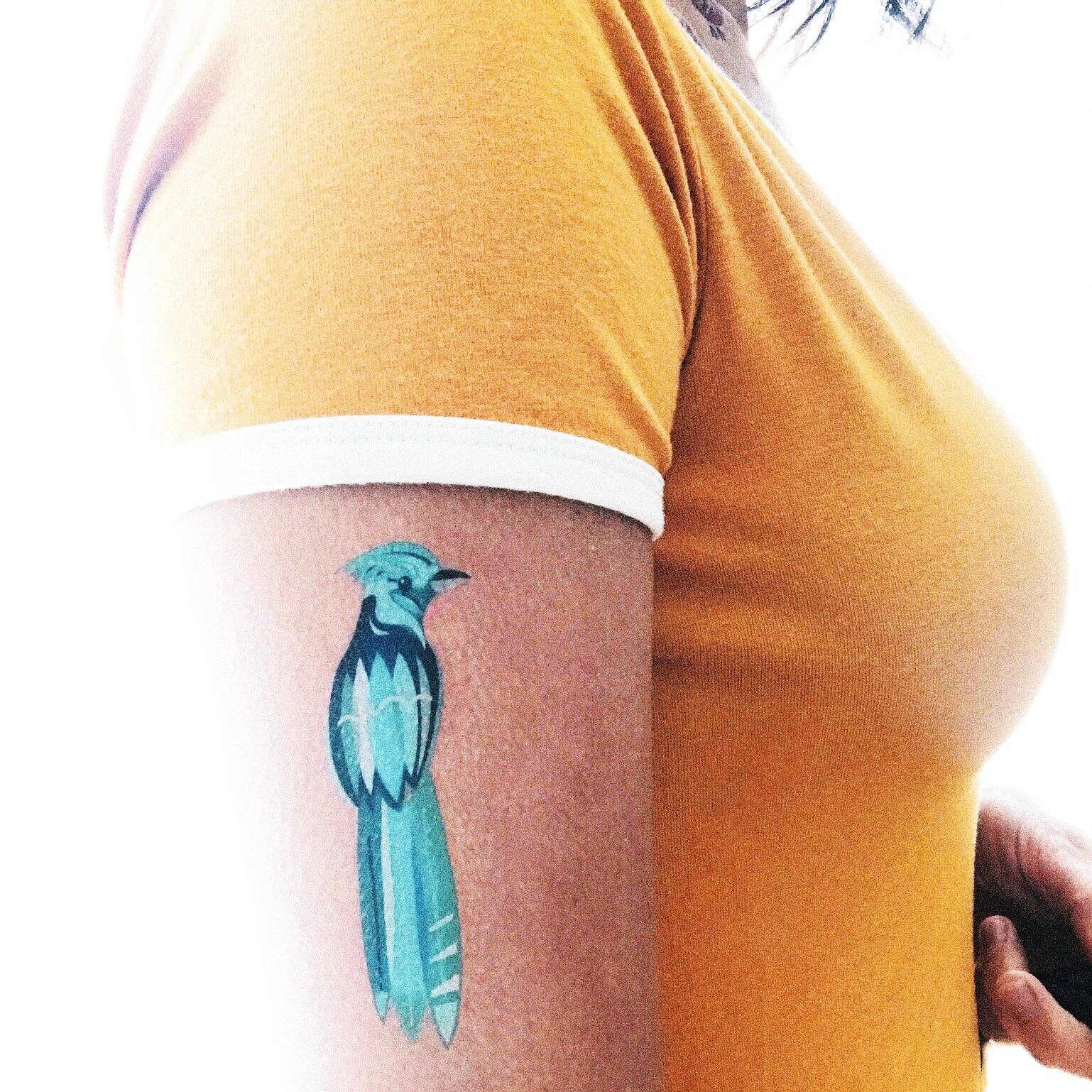 Les Tatoués - Vente Tatouage temporaire – enfant - Les oiseaux - Tatouages temporaires4