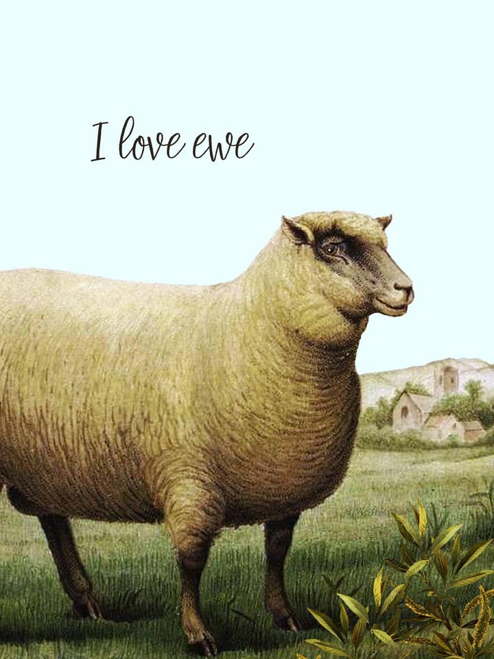 I Love Ewe • A-2 Greeting Card for wholesale by P. Flynn Design / Phun House
