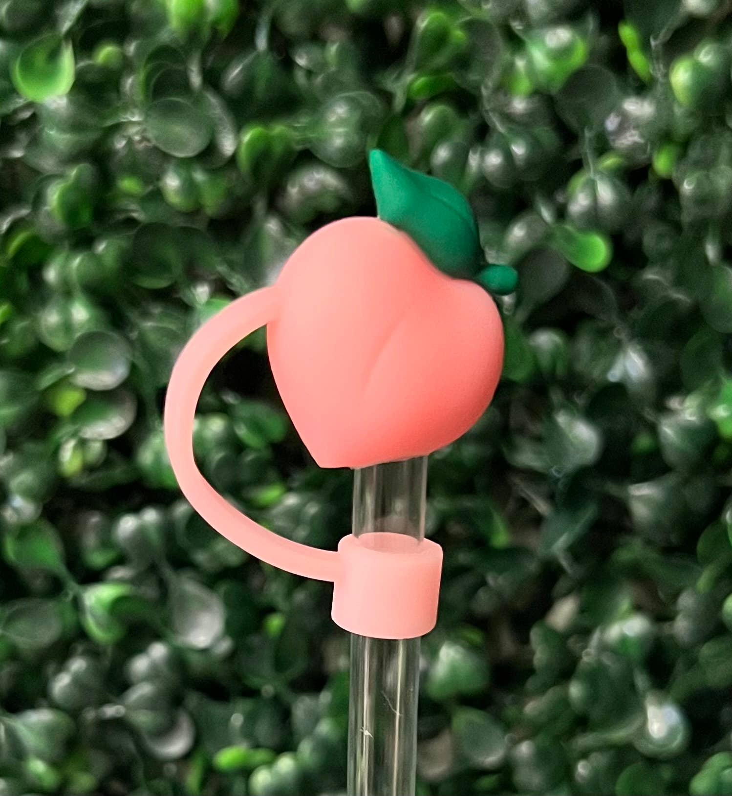 Briano Wholesale - Wholesale Drinking Straw - More Straw Toppers3