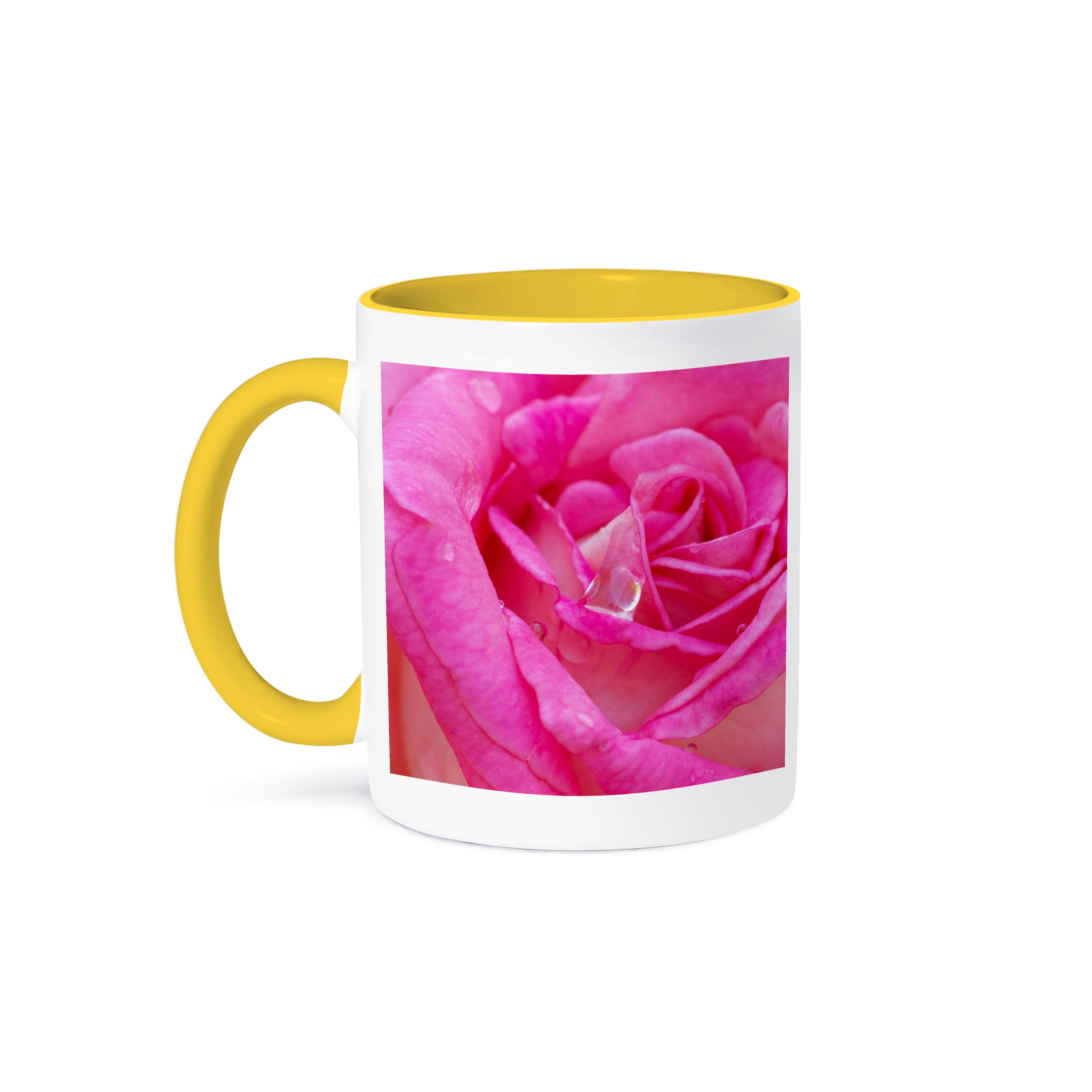 3dRose – wholesale Kaffekoppar – 3dRose, USA, Georgia, Savannah. Närbild av rosa ros med vattendroppar., Mugg0