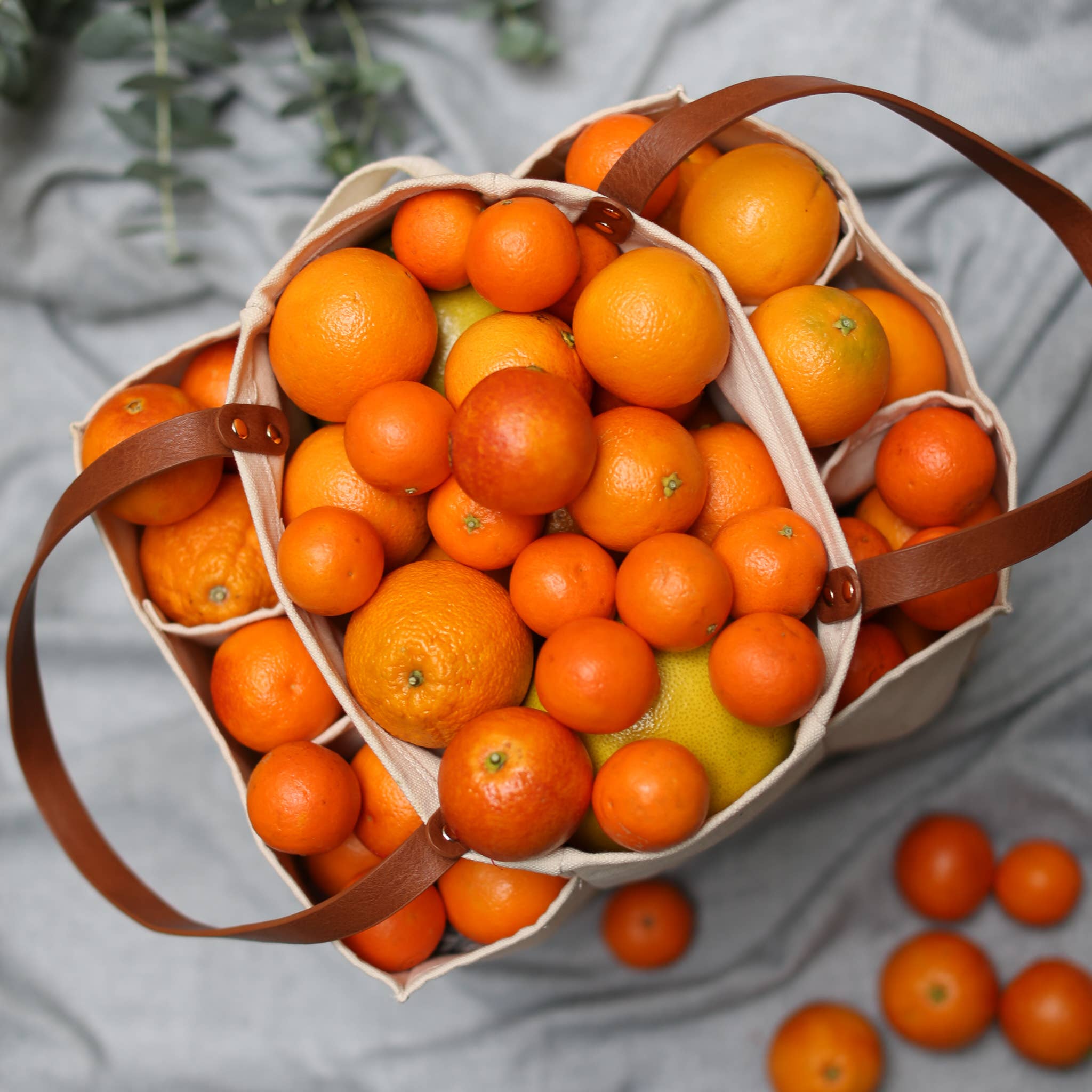 CapaBunga® - Wholesale Grocery/Shopping Bag - Heavy Canvas Tote Bag | Reusable Multi-Pocket Market Tote 3