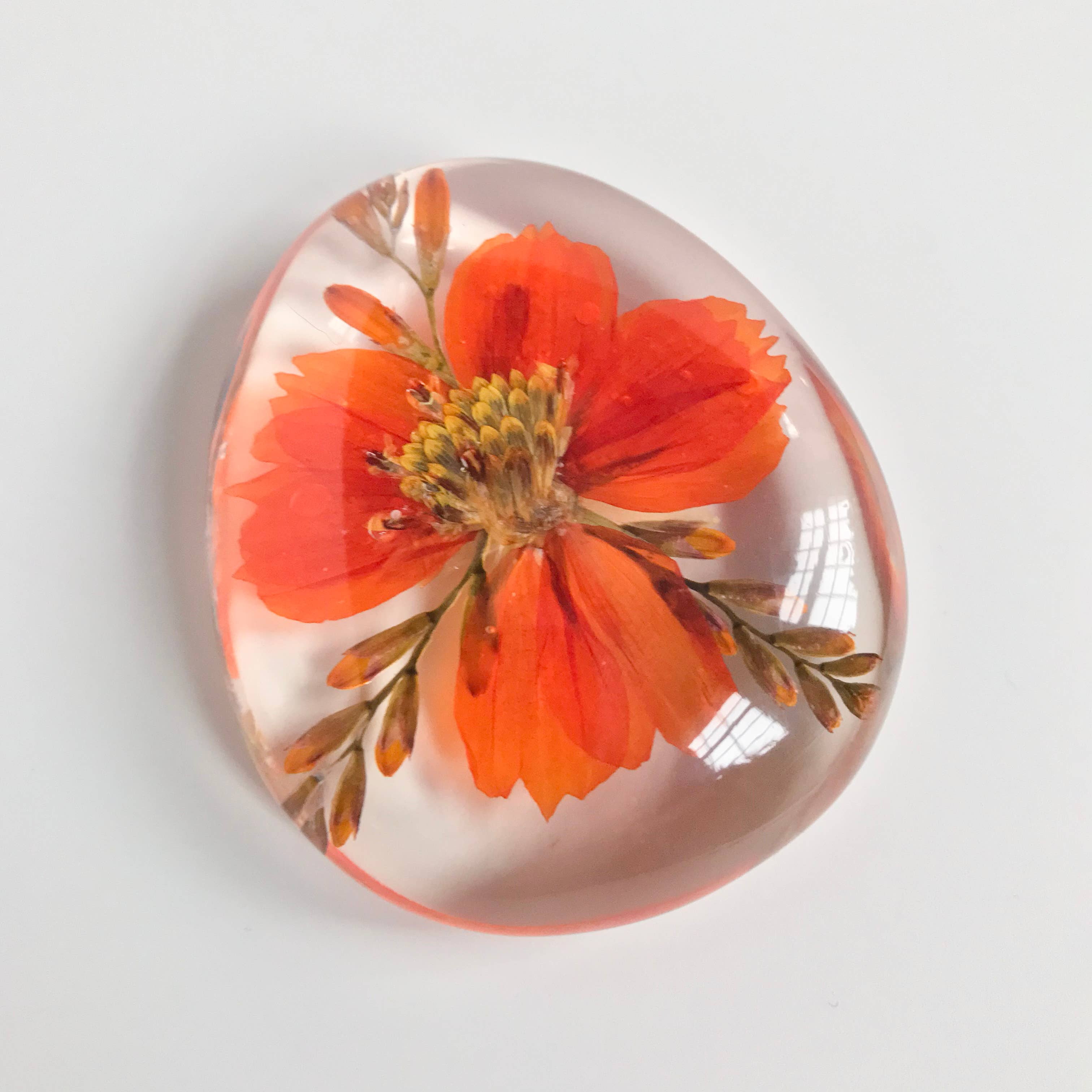 Belart Fair Trade – wholesale Paper weight – Botanical Birthday Flower Paperweight8