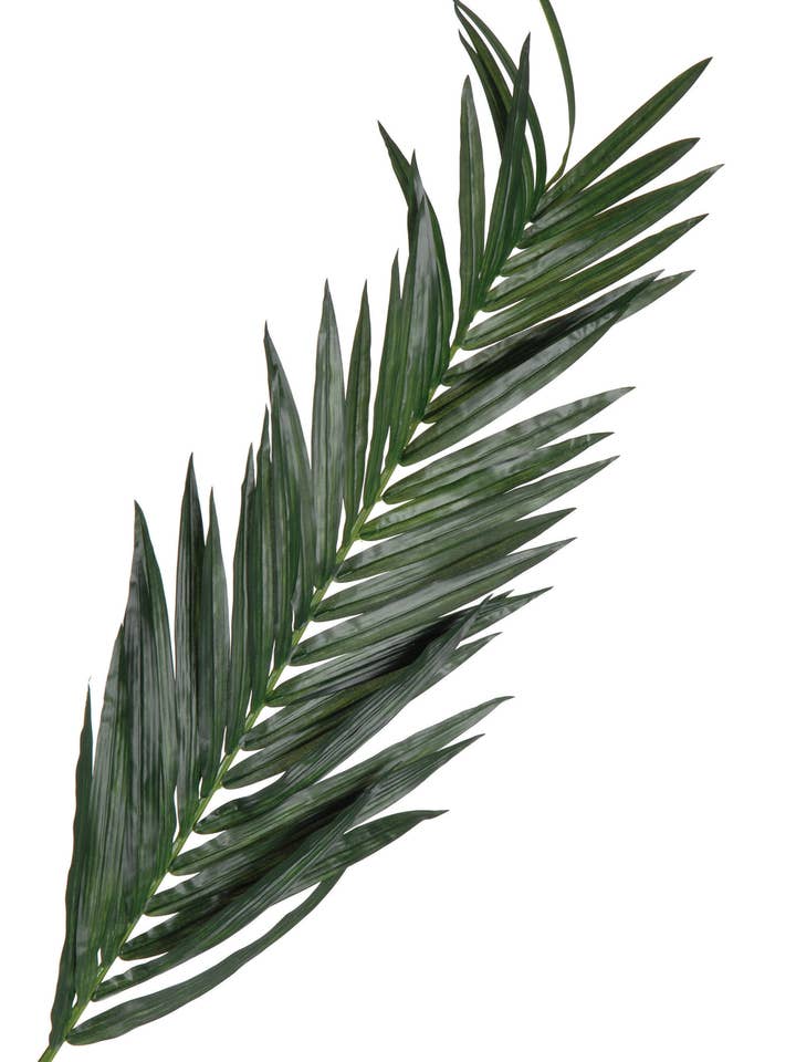 HOJA DE PALMA GIGANTE - 72" C/55 HJS para venta al por mayor de Studio Specialties