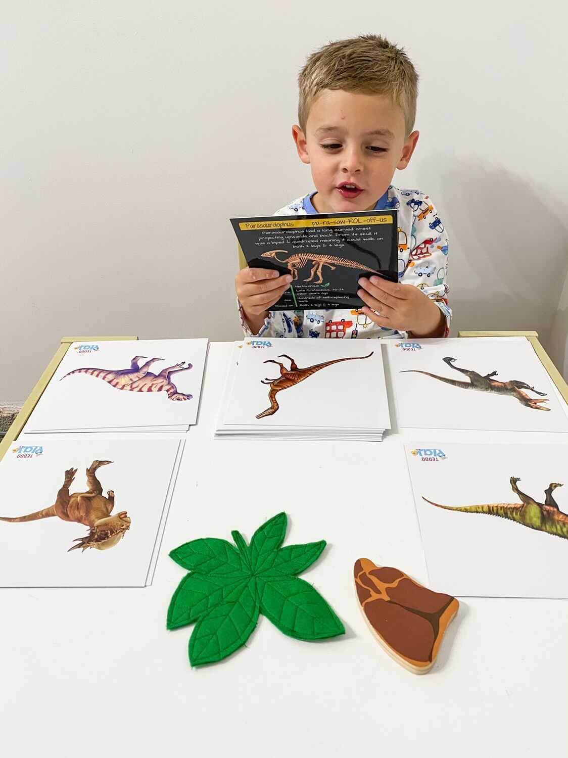 Teddo Play – Großhandel Lernkarten – Kind & Baby – Multi-Bundle mit 13 Lernsets Lernspiele für Kinder22