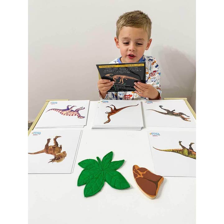 Teddo Play – Großhandel Lernkarten – Kind & Baby – Multi-Bundle mit 13 Lernsets Lernspiele für Kinder22