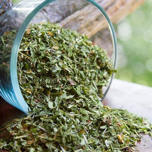 Mystical Roots - Wholesale Herbs - Herb Jar - Skullcap1