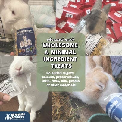 No Furries Delights – wholesale Pet toy – Not cat/dog – BULK 1x1" Palm Cubes9