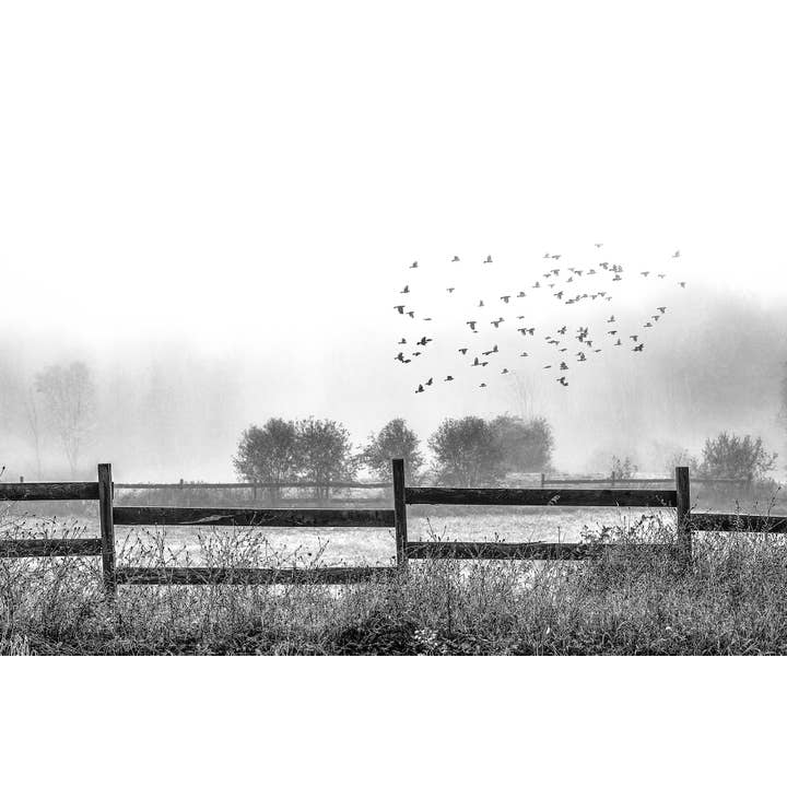 Black and White Birds and Moody Landscape: Moody Art Prints for wholesale by Brooke T Ryan Photographic Art