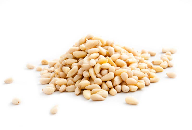 Good Sense Foods - Wholesale Nuts - Pine Nuts, Raw1