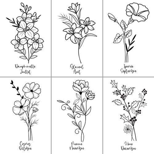 ColorFall Editions - Venta al por mayor Libro para colorear y cuaderno de actividades - Adultos - Libro de colorear de flores de nacimiento para adultos4