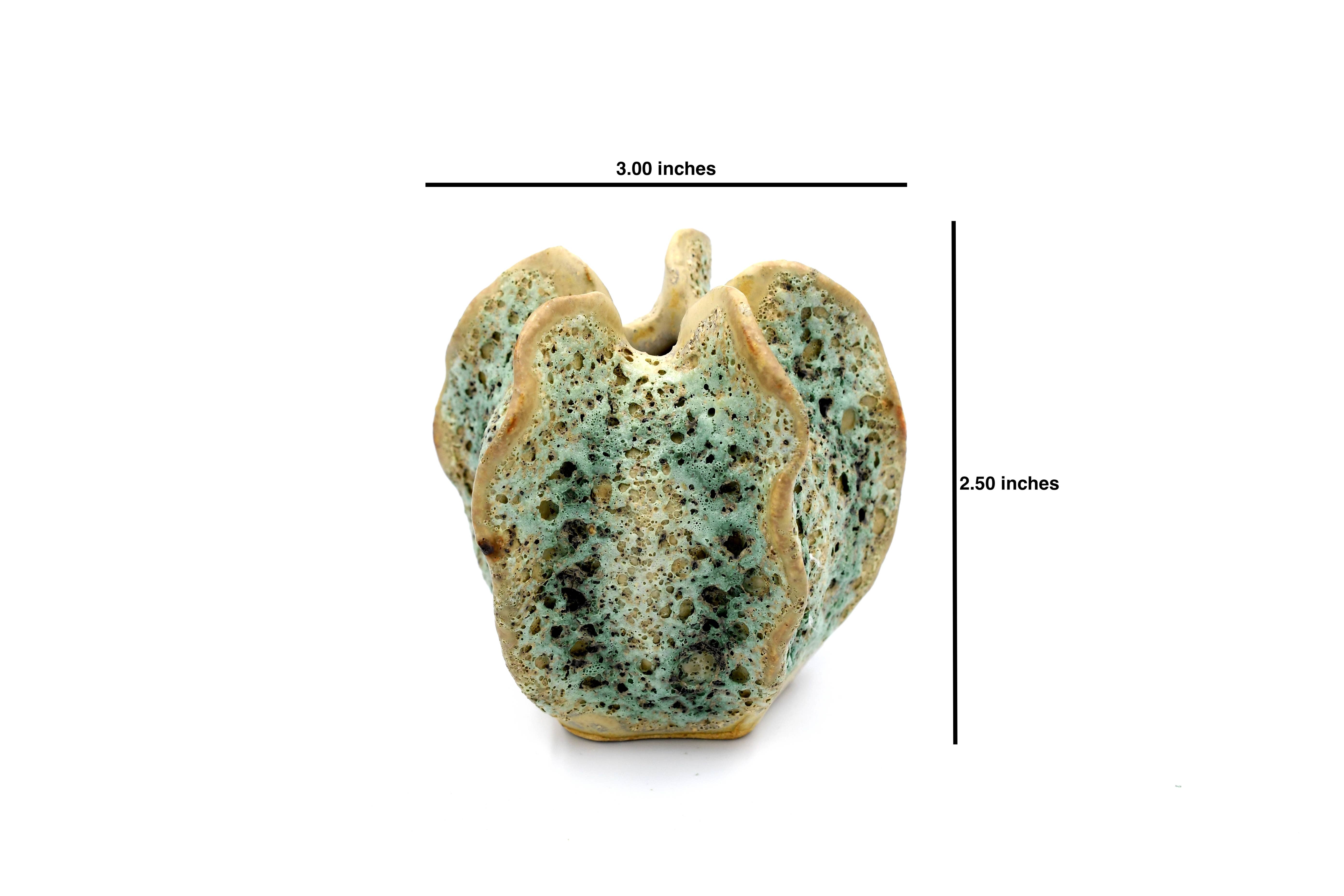 Art Floral Trading LLC - Venta al por mayor Pufs/esponjas de baño - Mini esponja de baño verde musgo de lufa1