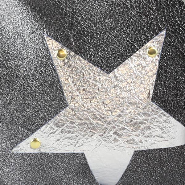 Zina Kao Exclusives - Wholesale Eyewear cases & holders – Women's - The Star Applique Eyeglass Case! 29