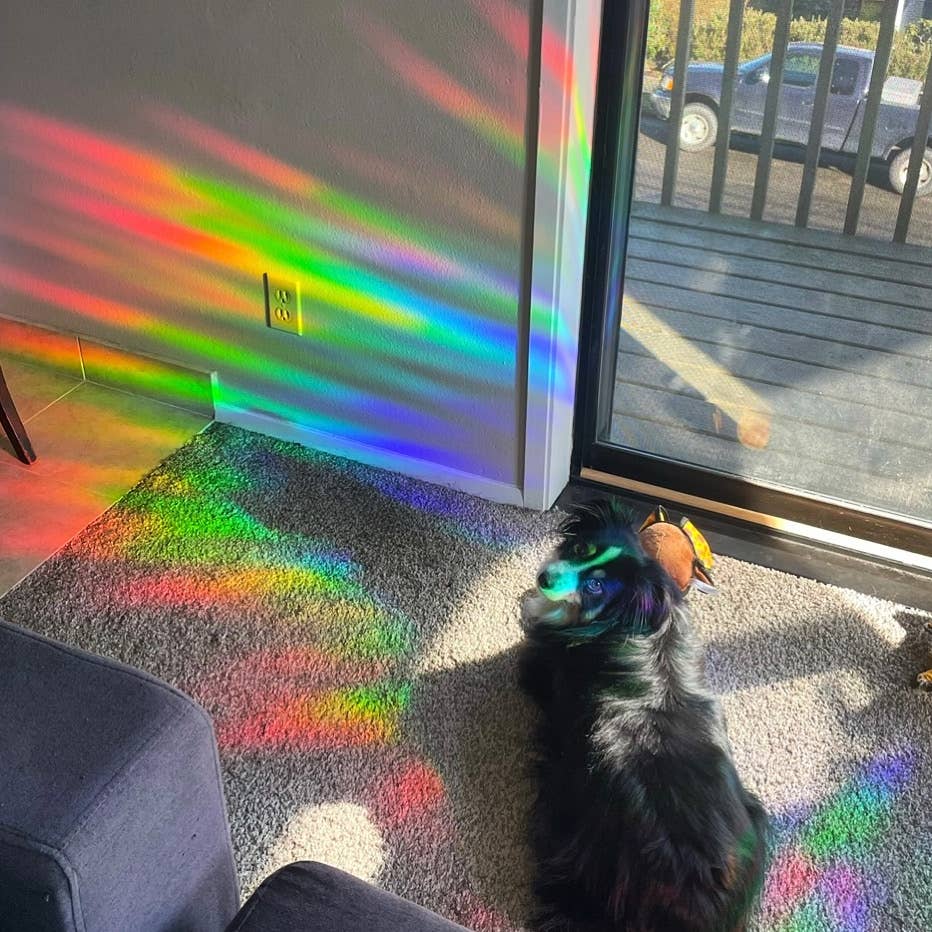 Little Viper Co – Engroshandel Solfanger – Magic Mushroom Suncatcher klistermærke4