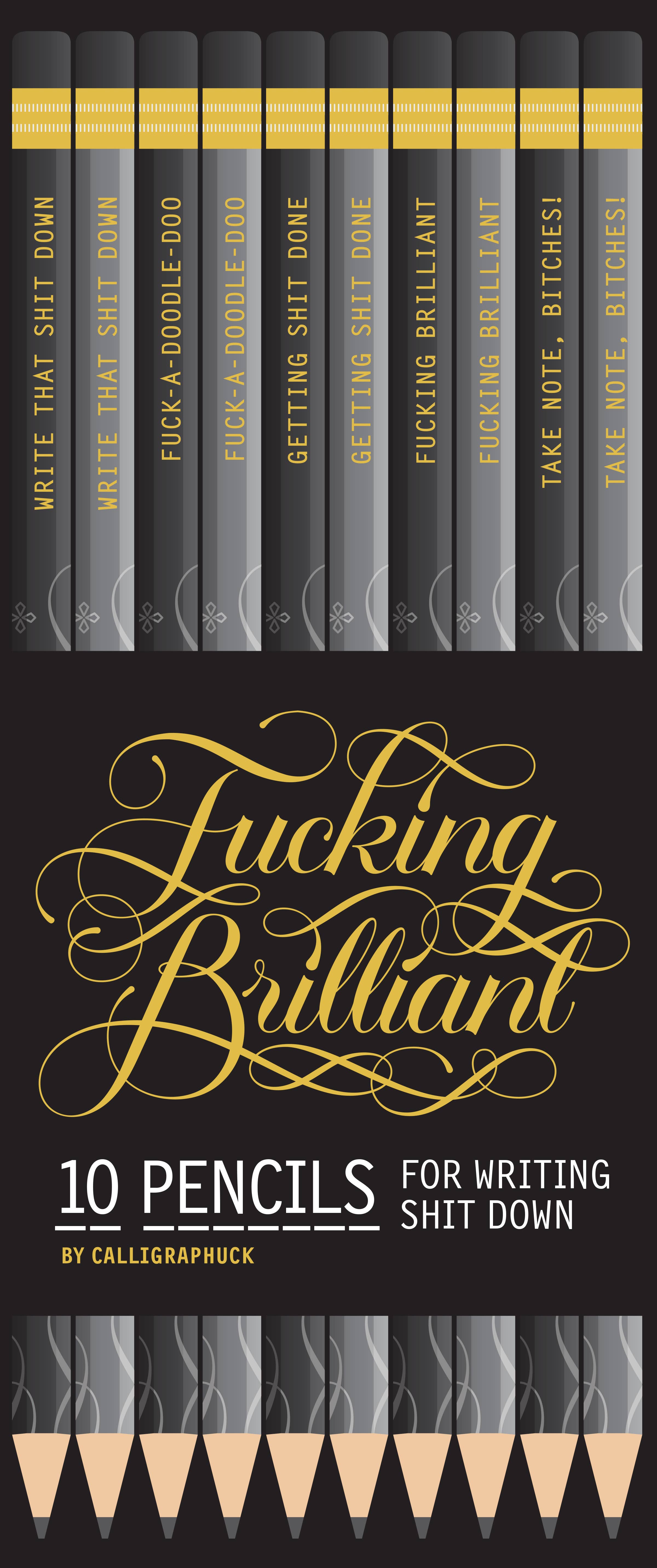 Chronicle Books - Wholesale Pencil - Fucking Brilliant Pencils1