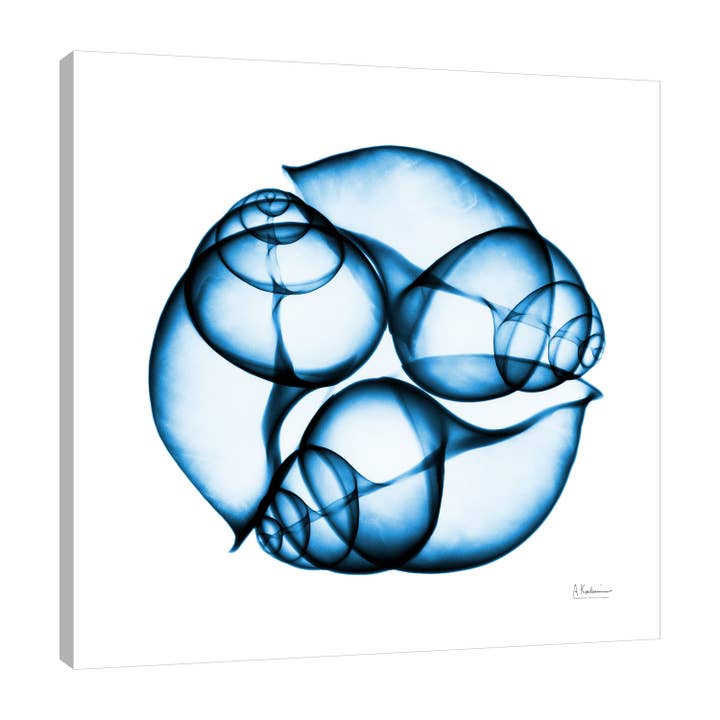 Elektrisk Blue Moon Snegle 2 Galleri Indpakket lærred for engroshandel hos Jaxson Rea