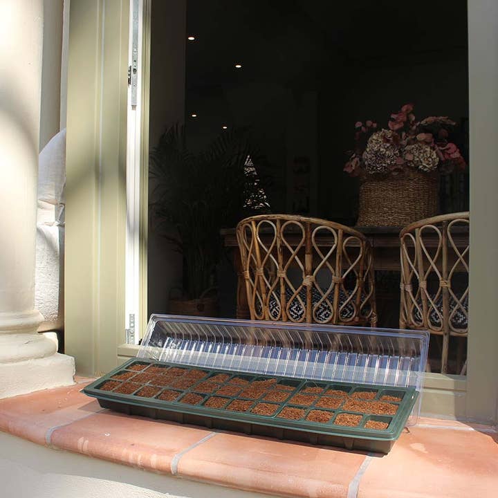 JARDIN Y NATURA OUTDOOR & GARDEN PRODUCTS SL - Wholesale Planting/Potting Soil - 36-cell seedbed with cover - SPOROWINDOWS 36