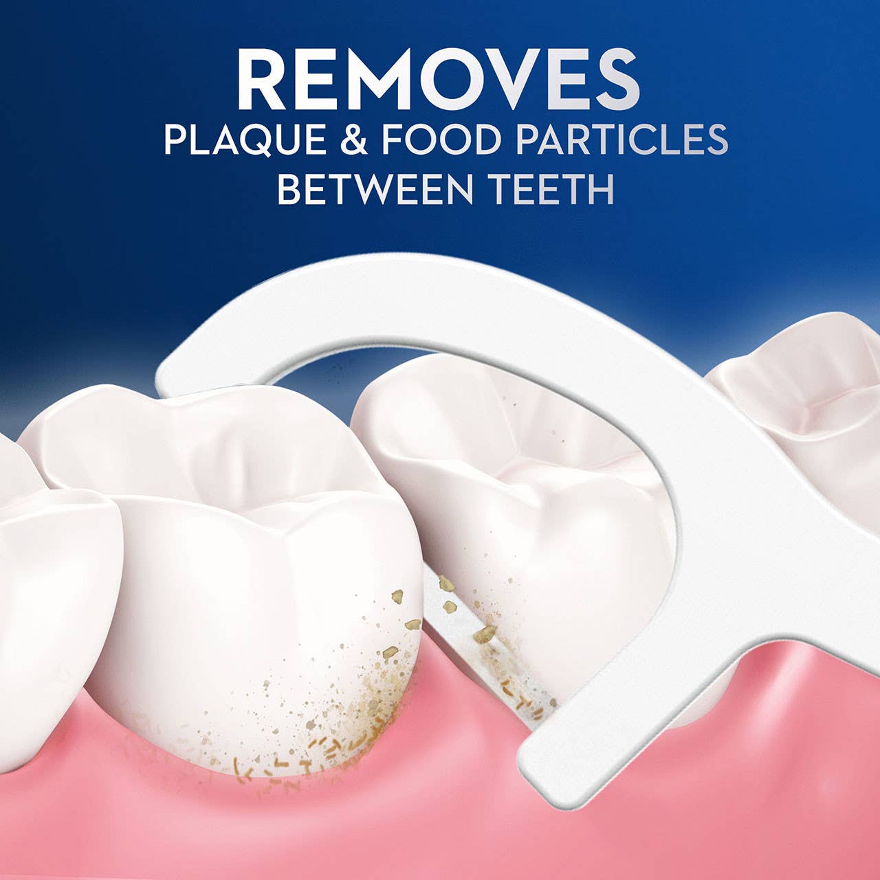 First Choice Buying - Wholesale Floss - Oral-B Burst of Scope Dental Floss Picks, Fresh Mint, 75 ct5