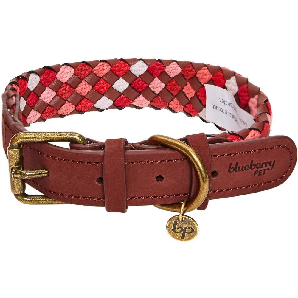 Blueberry Pet – wholesale Halsband - Hund – Flätat hundhalsband i fullnarvat läder, 2 färger11