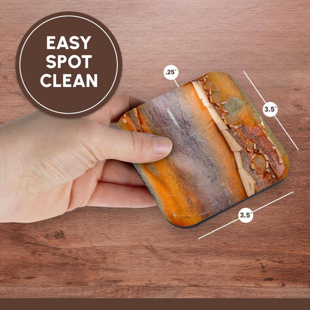 3dRose - Wholesale Coasters - 3dRose, USA, Washington State. Bellevue Botanical garden and tree bark, Coaster13