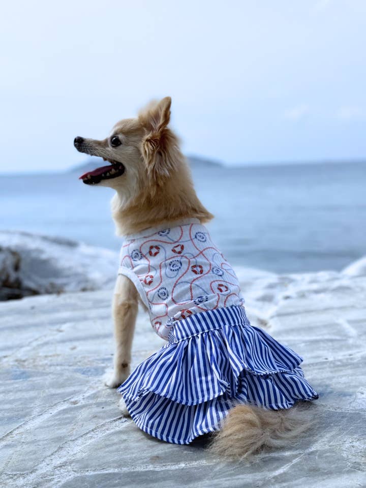 Blue Striped Sailor Dress for Pets Made with Love in Turkiye for wholesale by only-pets