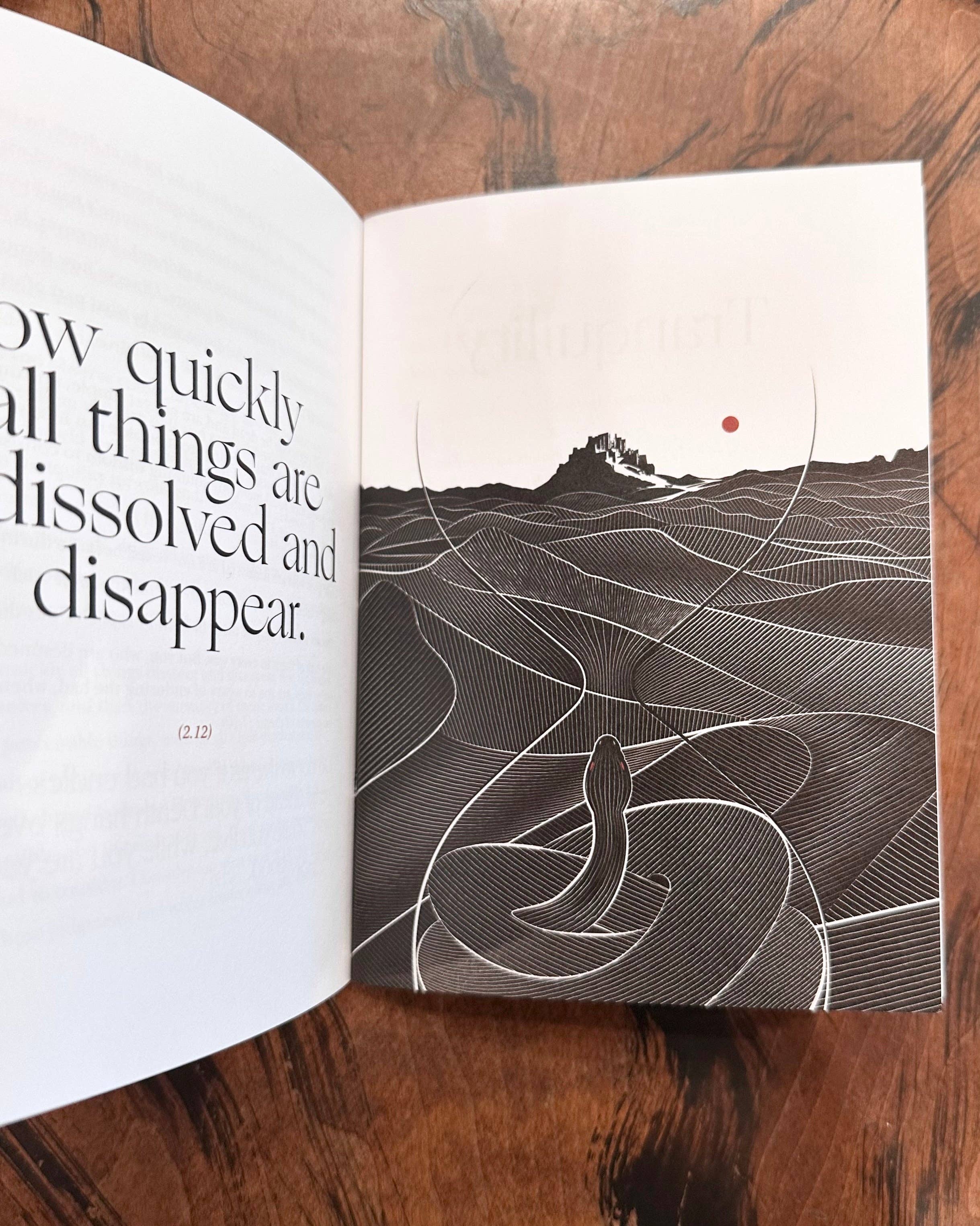 Obvious State - Wholesale Philosophy Book - The Meditations, Marcus Aurelius8