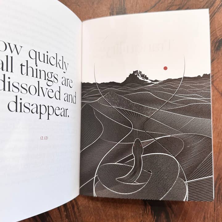 Obvious State - Wholesale Philosophy Book - The Meditations, Marcus Aurelius8