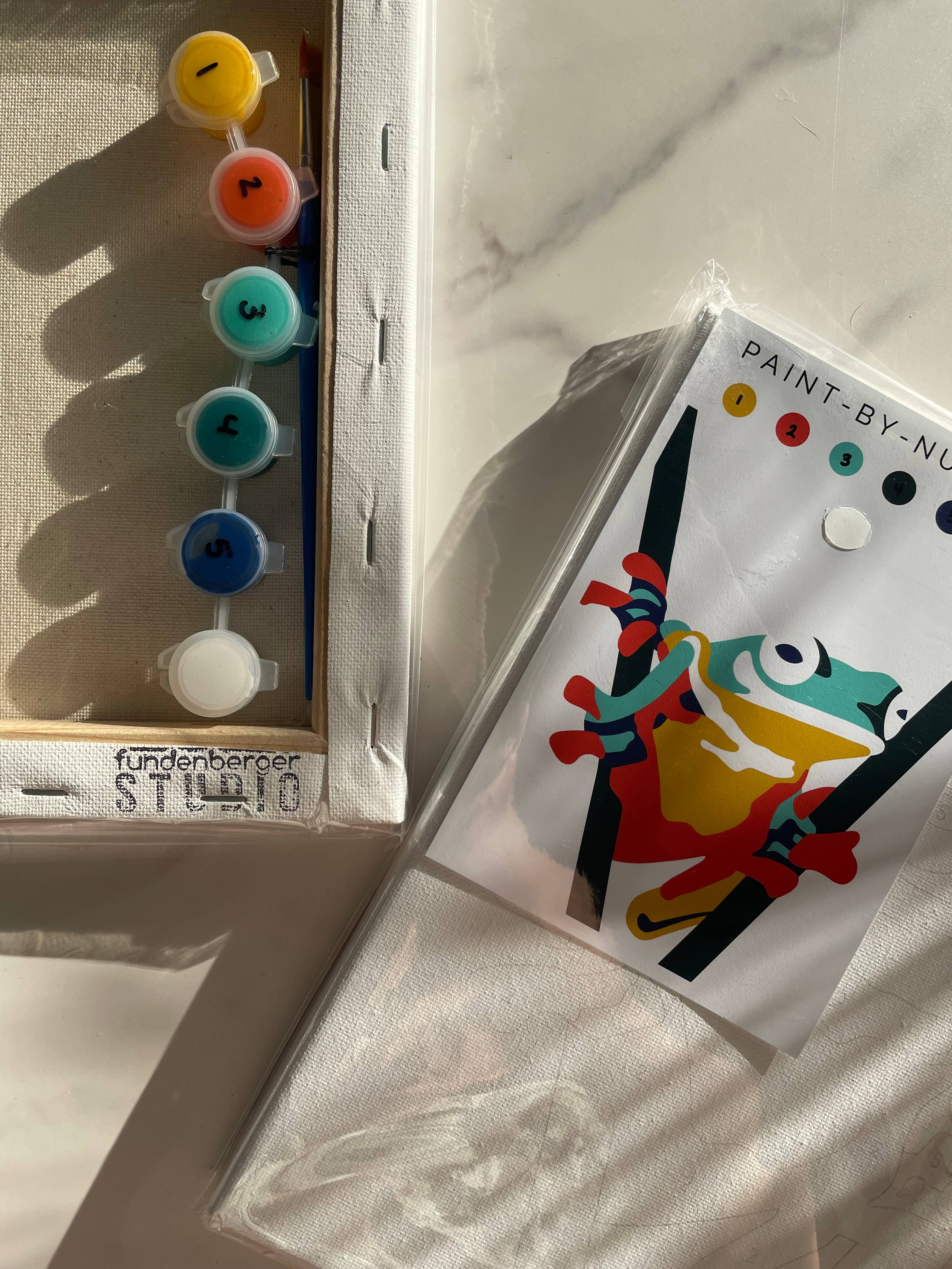 Fundenberger Studio - Wholesale DIY Craft Kit - Frog Paint-By-Number3