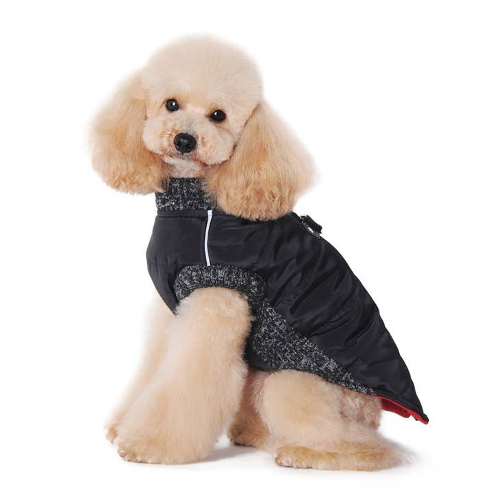 Dogo Pet - Wholesale Pet Coat - Dog - Runner Coat Original40