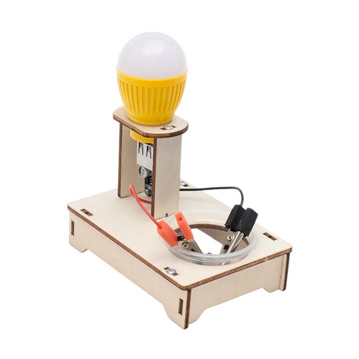 Water Electricity - STEM Experiment Kit – Make Electricity With Salt Water and Be a Certified Genius! for wholesale by Team Genius Squad