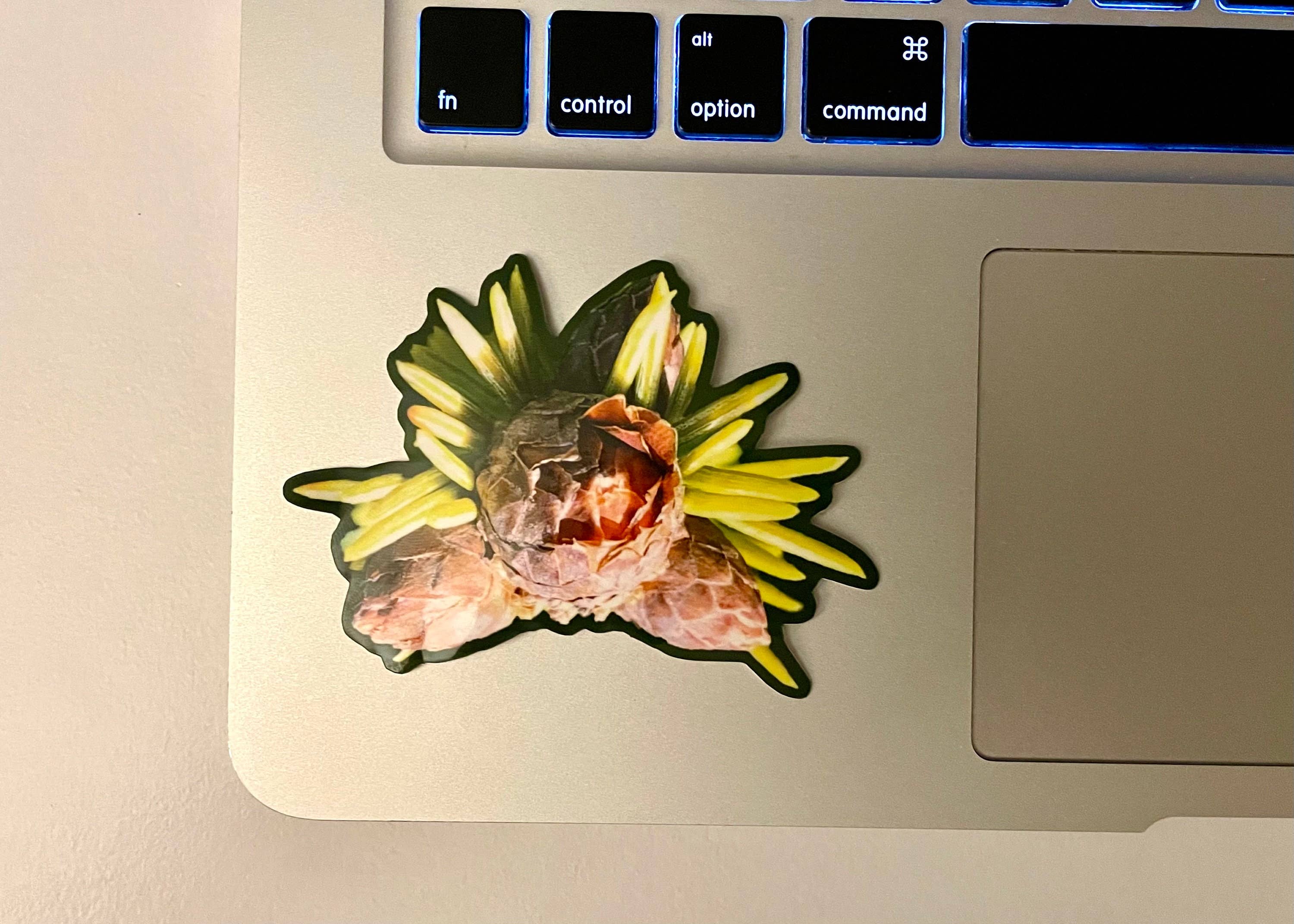 Stick Outside - Wholesale Sticker - California Sitka Spruce Sticker5