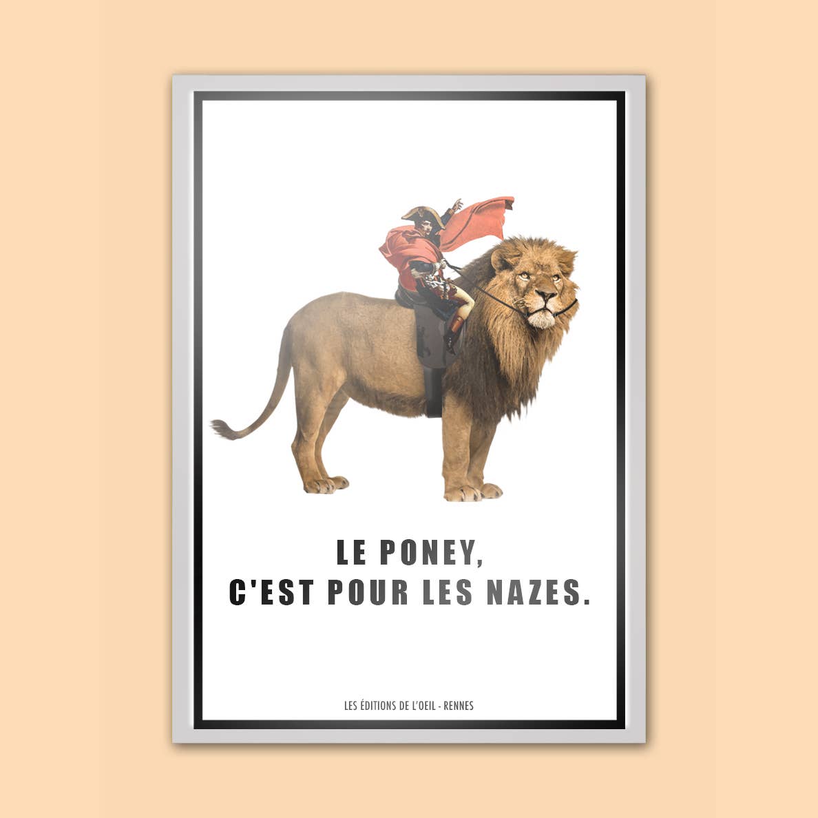 Les Éditions de l'Oeil - Wholesale Magnet - Magnet - Napolion0