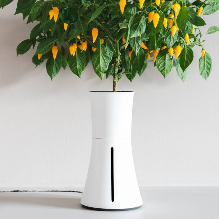 Botanium - Sample Order and other Purchase wholesale hydroponics. Free returns & net 60 terms on Faire trending on Faire.