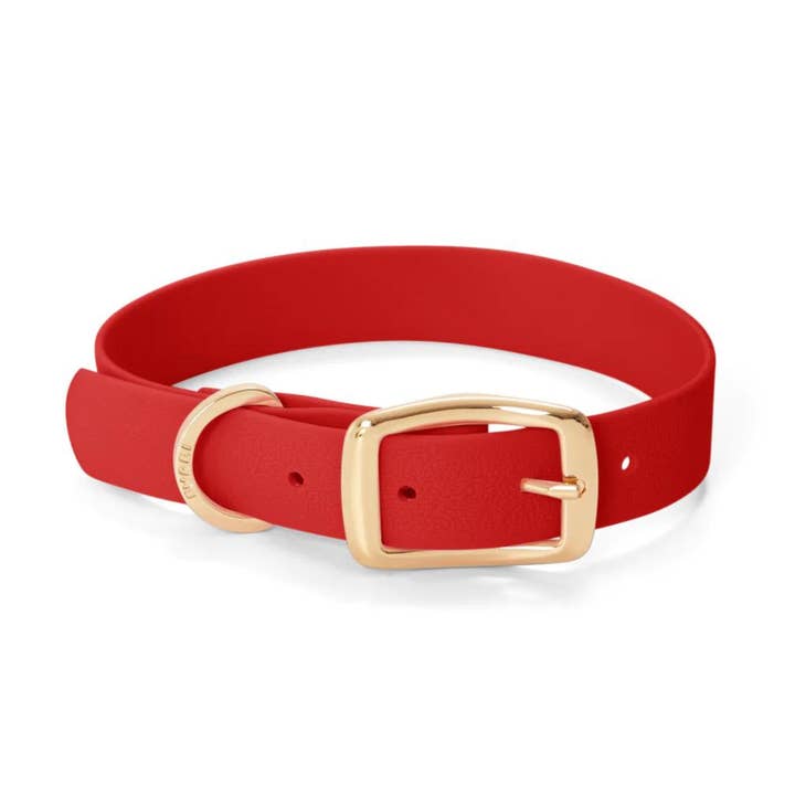 Furei Pets - Wholesale Pet Collar - Dog - Collar