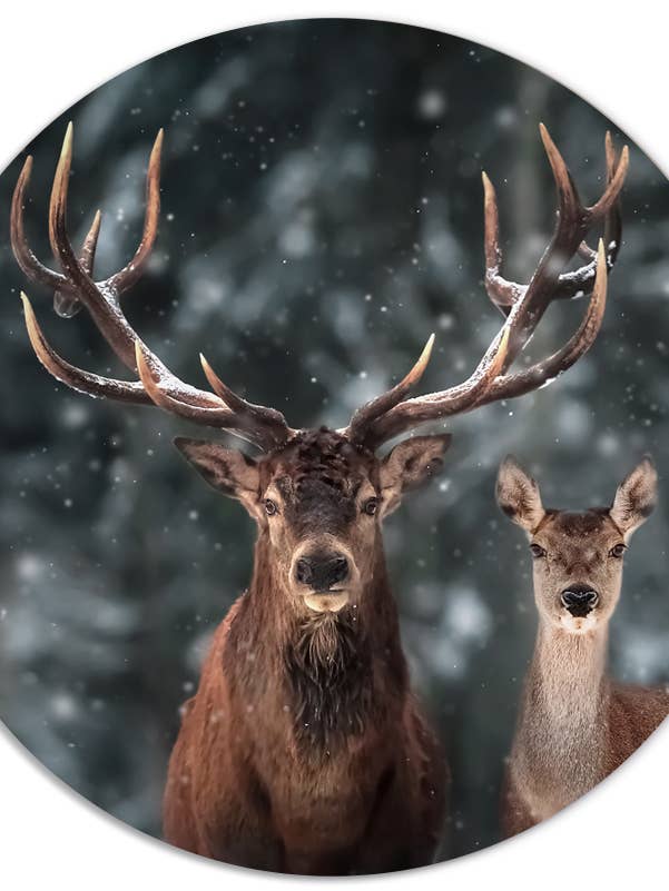 Muurcirkel med krondyrpar for engroshandel hos Label2X B.V.