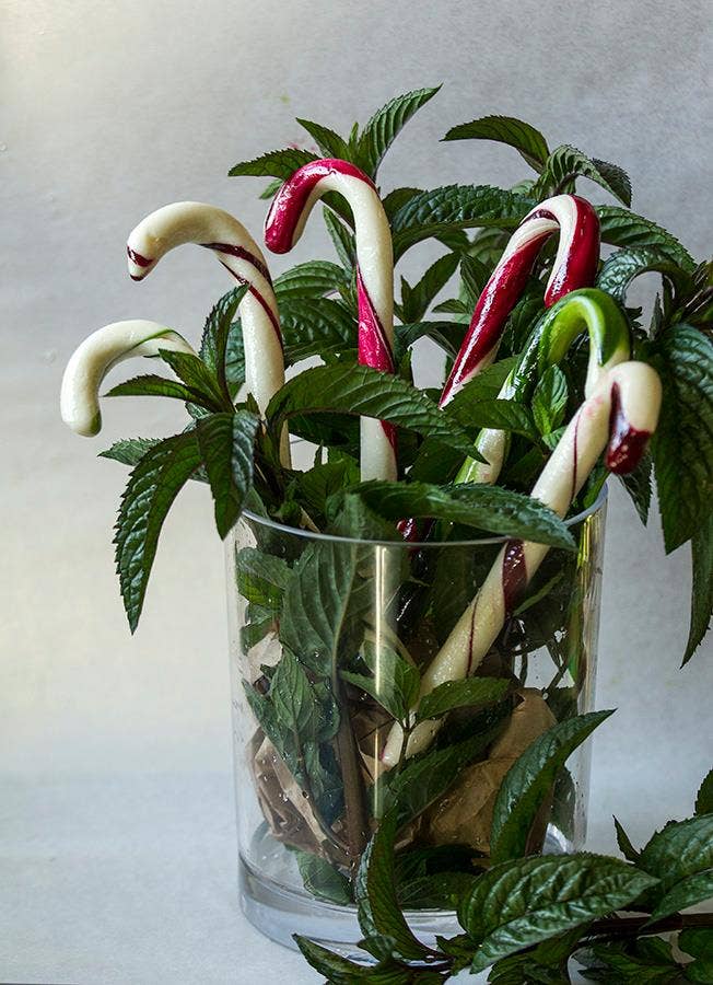 Seely Mint - Wholesale Candy Cane - Peppermint Candy Cane1