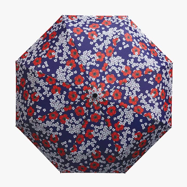 Anemone Ombrello Facile per la vendita all'ingrosso da parte di CEDON